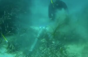 Àncora de l'Ocean Club, iot de 40 metres, danyant la posidònia a Portocolom